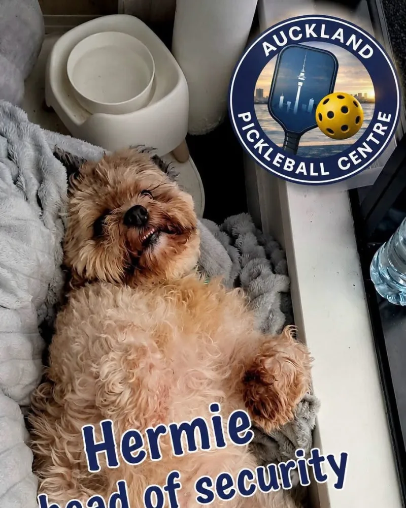 Hermie, APC's Head of Security